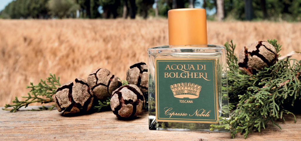 Acqua di Bolgheri Cipresso Nobile Eau de Parfum 50 ml