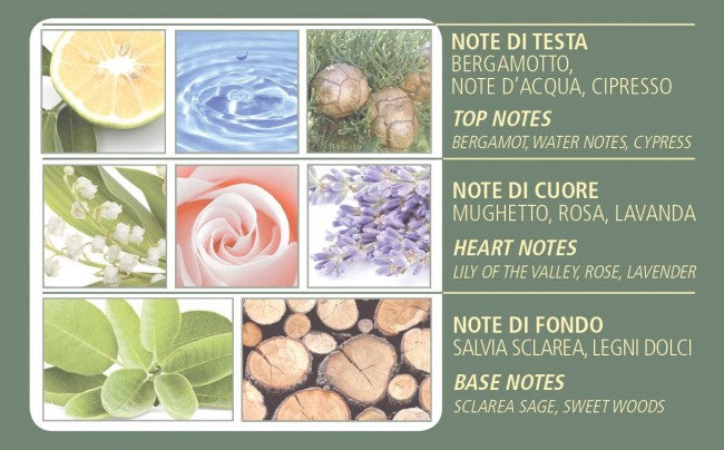 Acqua di Bolgheri Cipresso Nobile Home Fragrance Diffuser 500 ml