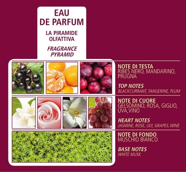 Acqua di Bolgheri Bacche di Vinum Eau de Parfum 50 ml